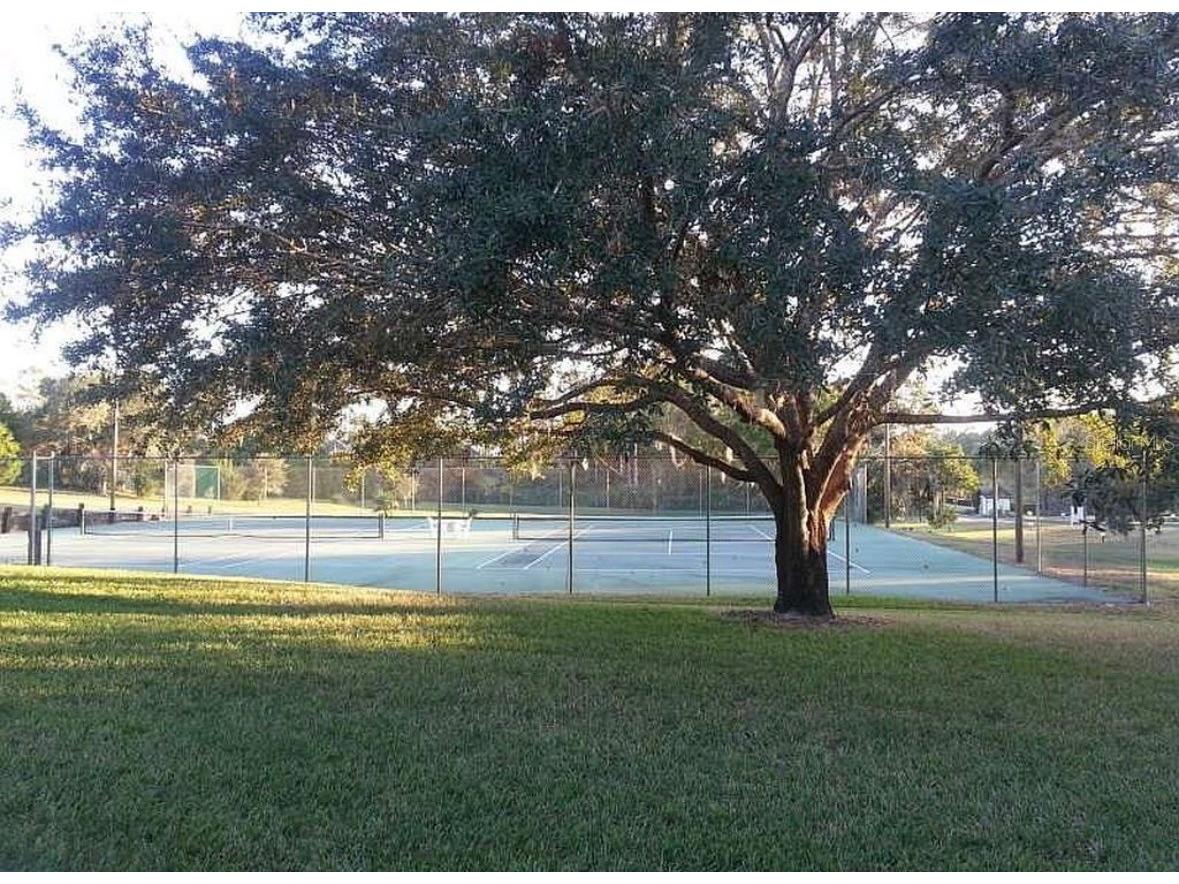 7032 River Run Boulevard Weeki Wachee FL 34607 - WEEKI WACHEE RIVER W7884946 image33
