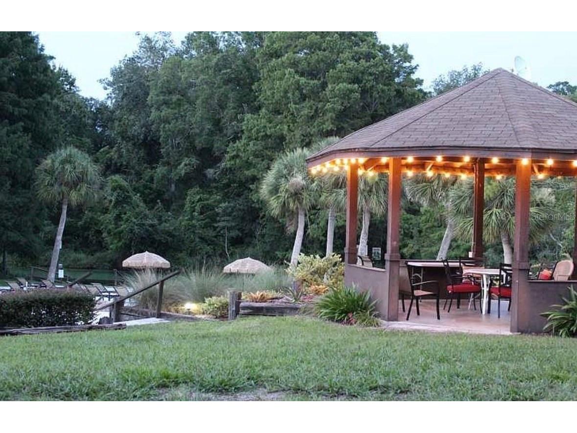 7032 River Run Boulevard Weeki Wachee FL 34607 - WEEKI WACHEE RIVER W7884946 image34