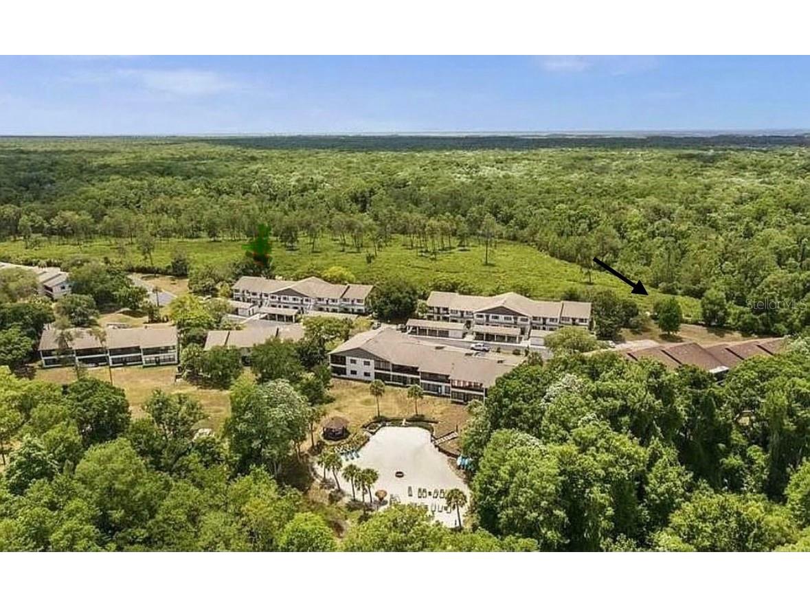 7032 River Run Boulevard Weeki Wachee FL 34607 - WEEKI WACHEE RIVER W7884946 image37