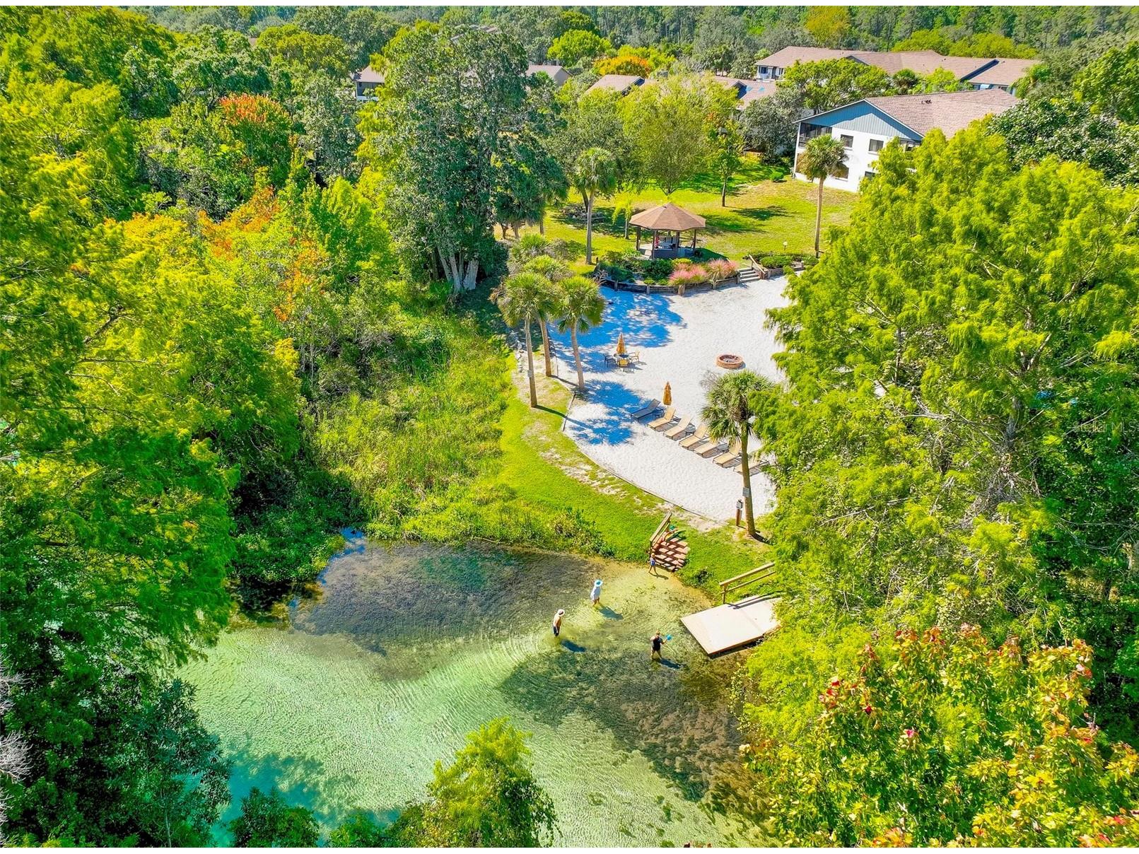 7032 River Run Boulevard Weeki Wachee FL 34607 - WEEKI WACHEE RIVER W7884946 image39