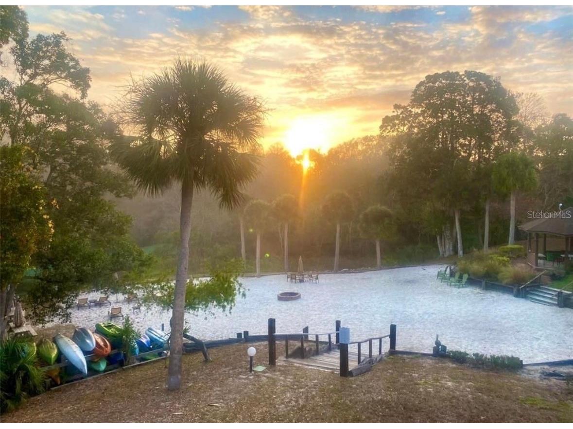 7032 River Run Boulevard Weeki Wachee FL 34607 - WEEKI WACHEE RIVER W7884946 image40