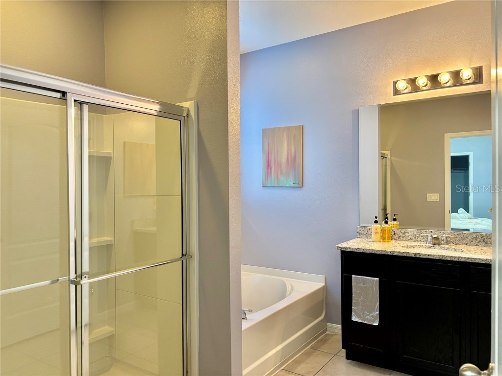 7033 Oakwood Street Davenport FL 33837 O6314543 image44