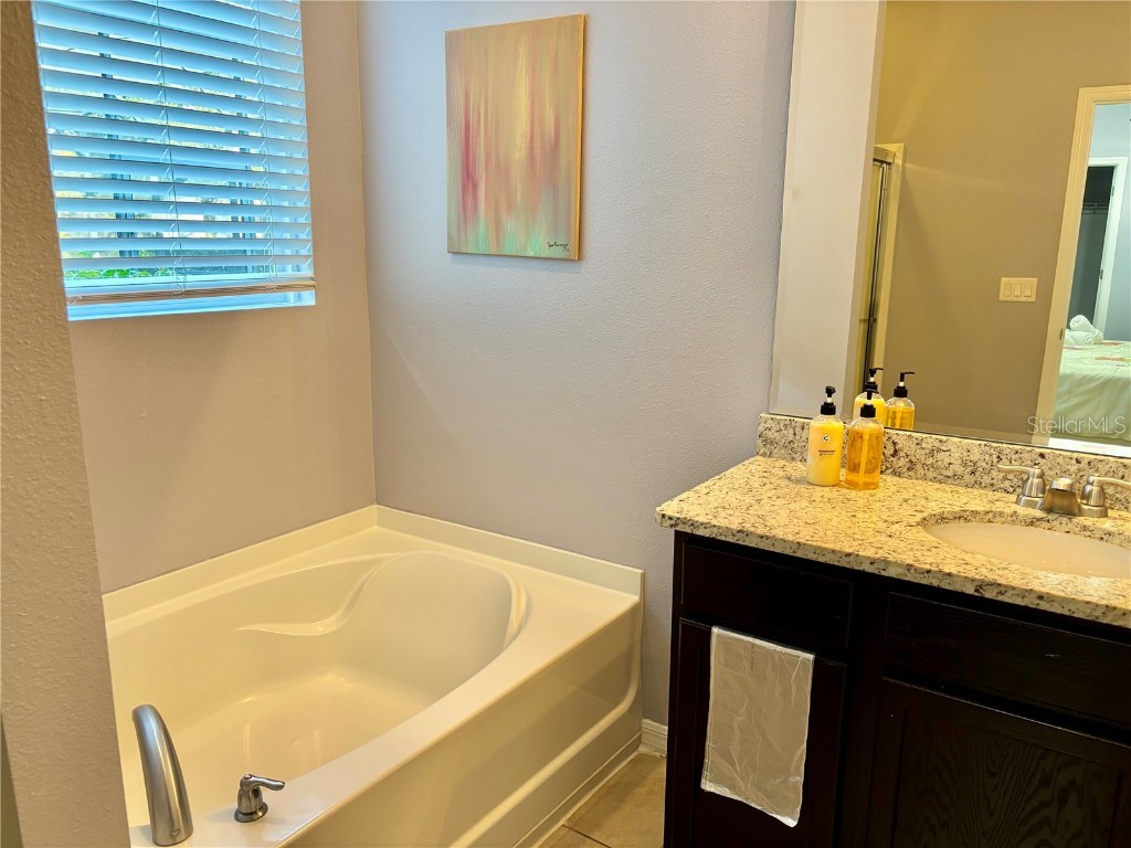 7033 Oakwood Street Davenport FL 33837 O6314543 image45