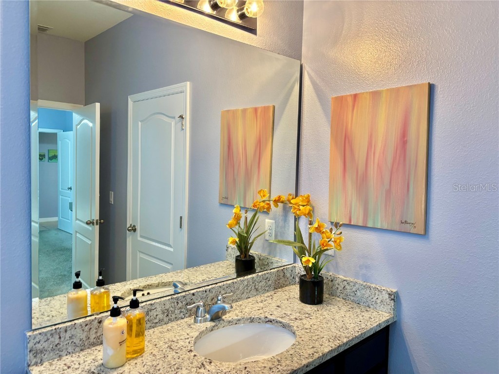 7033 Oakwood Street Davenport FL 33837 O6314543 image49