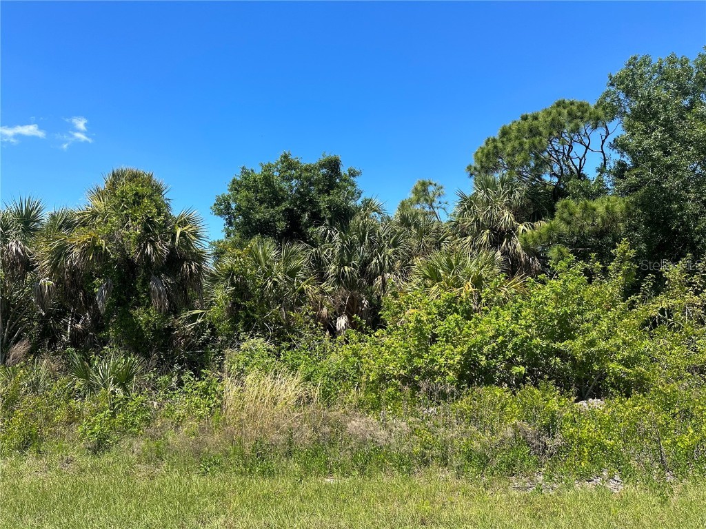 7035 Kaler Street Port Charlotte FL 33981 D6136137 image1