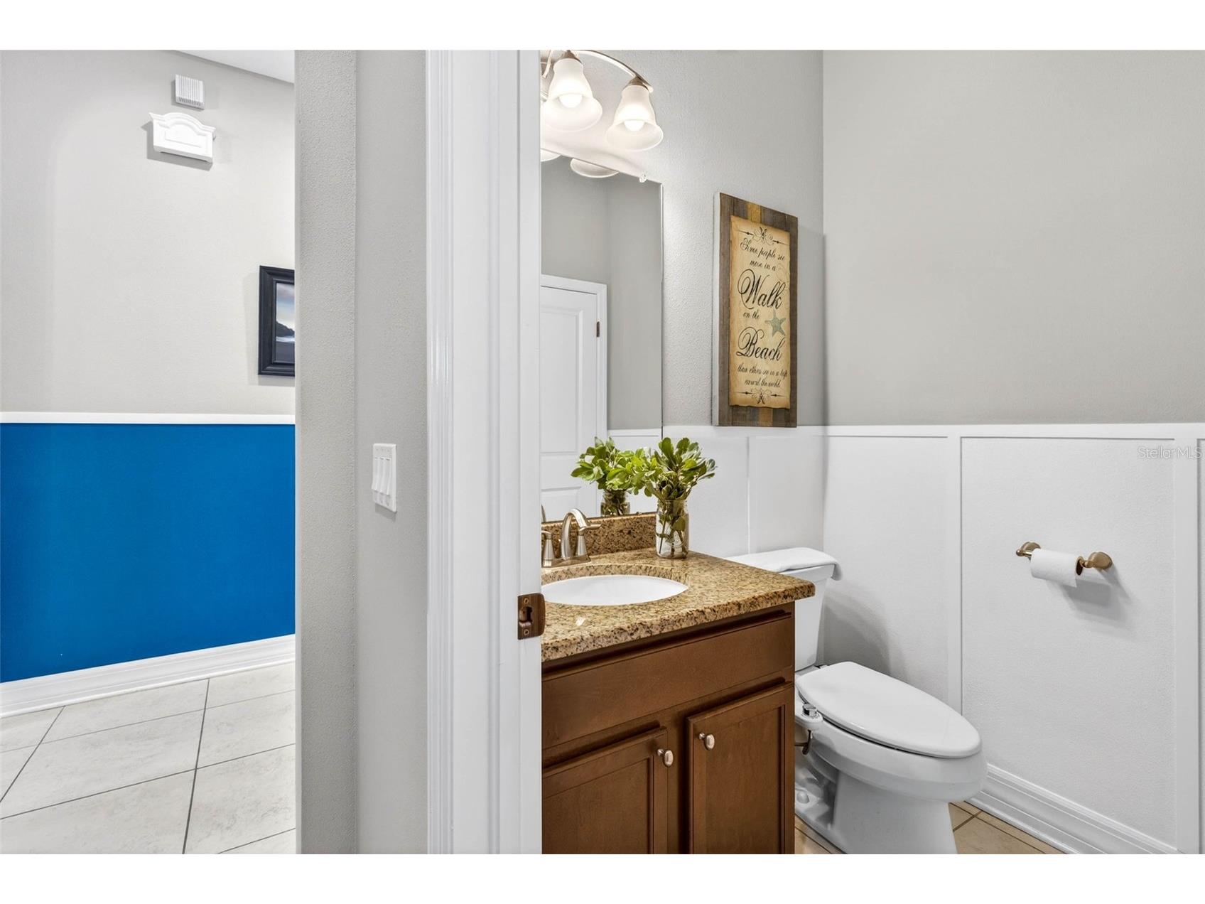 7035 Peregrina Loop Wesley Chapel FL 33545 TB8469900 image28