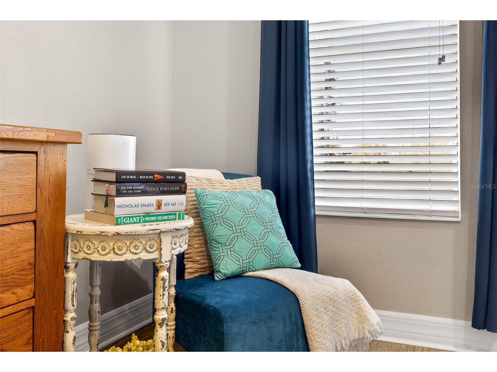 7035 Peregrina Loop Wesley Chapel FL 33545 TB8469900 image35