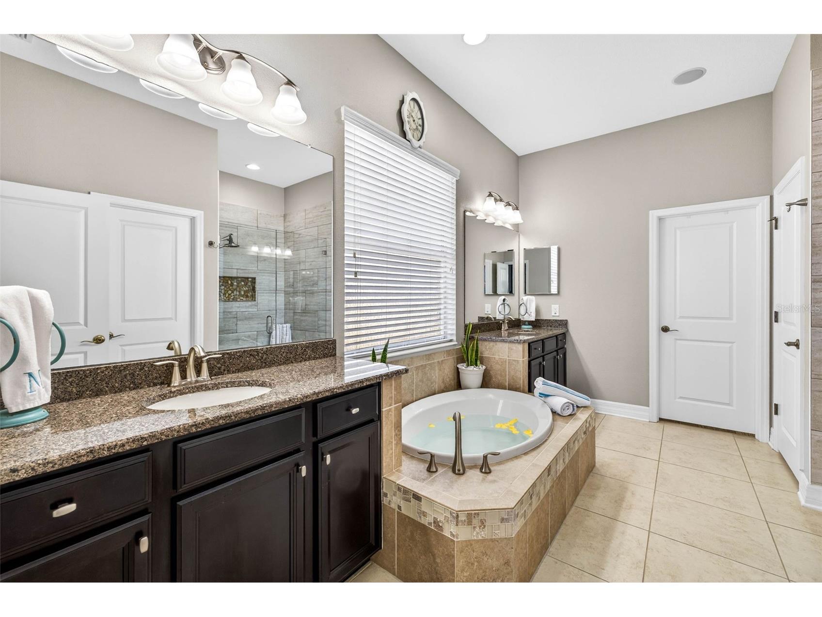 7035 Peregrina Loop Wesley Chapel FL 33545 TB8469900 image36