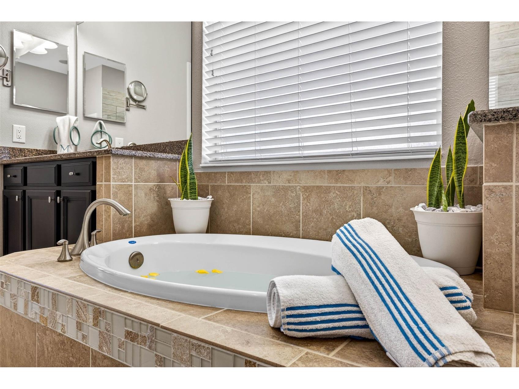 7035 Peregrina Loop Wesley Chapel FL 33545 TB8469900 image37