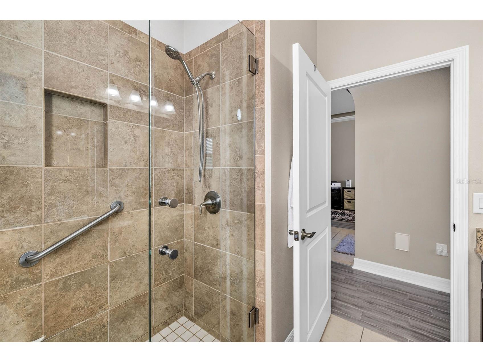 7035 Peregrina Loop Wesley Chapel FL 33545 TB8469900 image45