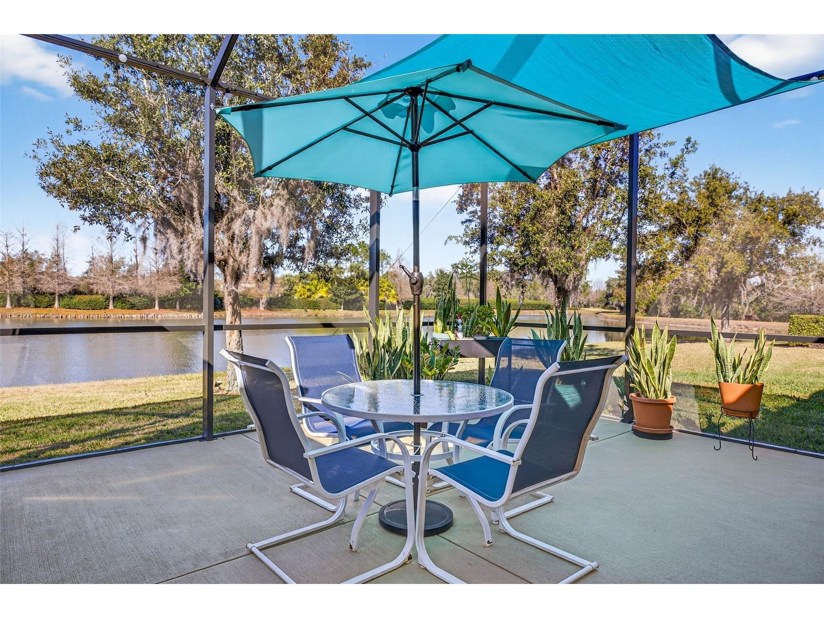 7035 Peregrina Loop Wesley Chapel FL 33545 TB8469900 image51