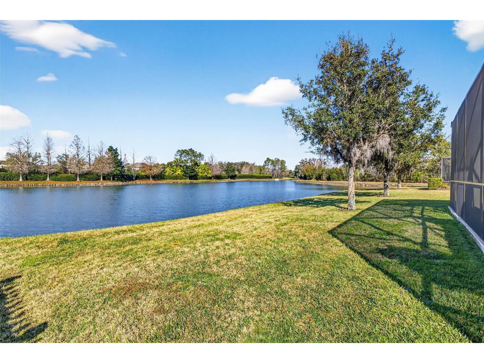 7035 Peregrina Loop Wesley Chapel FL 33545 TB8469900 image54