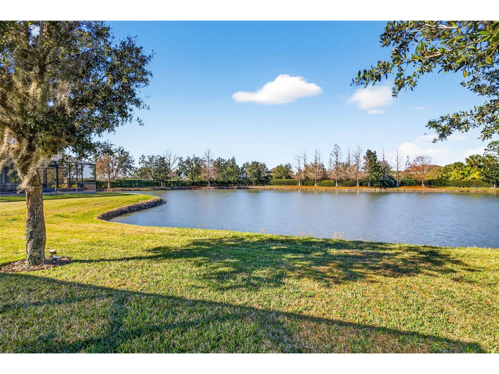 7035 Peregrina Loop Wesley Chapel FL 33545 TB8469900 image55