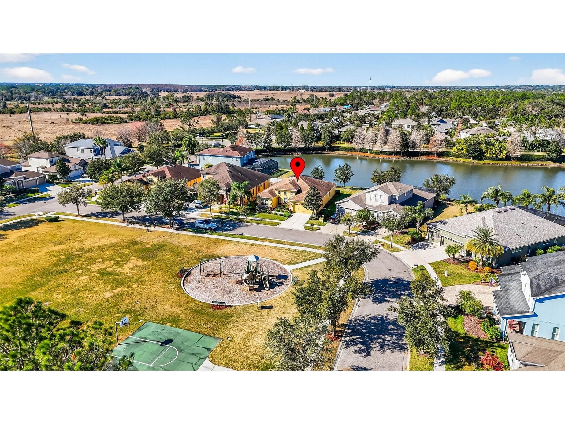 7035 Peregrina Loop Wesley Chapel FL 33545 TB8469900 image59