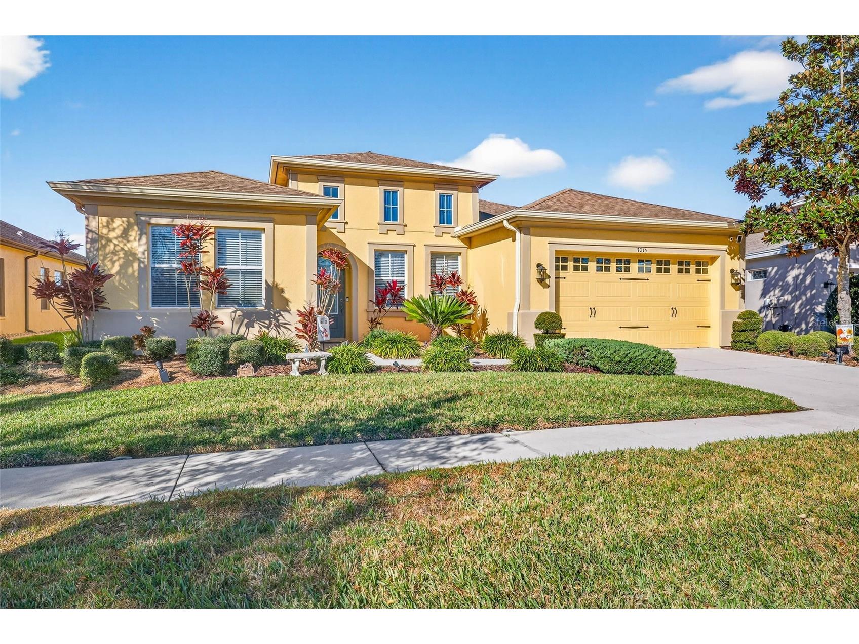 7035 Peregrina Loop Wesley Chapel FL 33545 TB8469900 image6