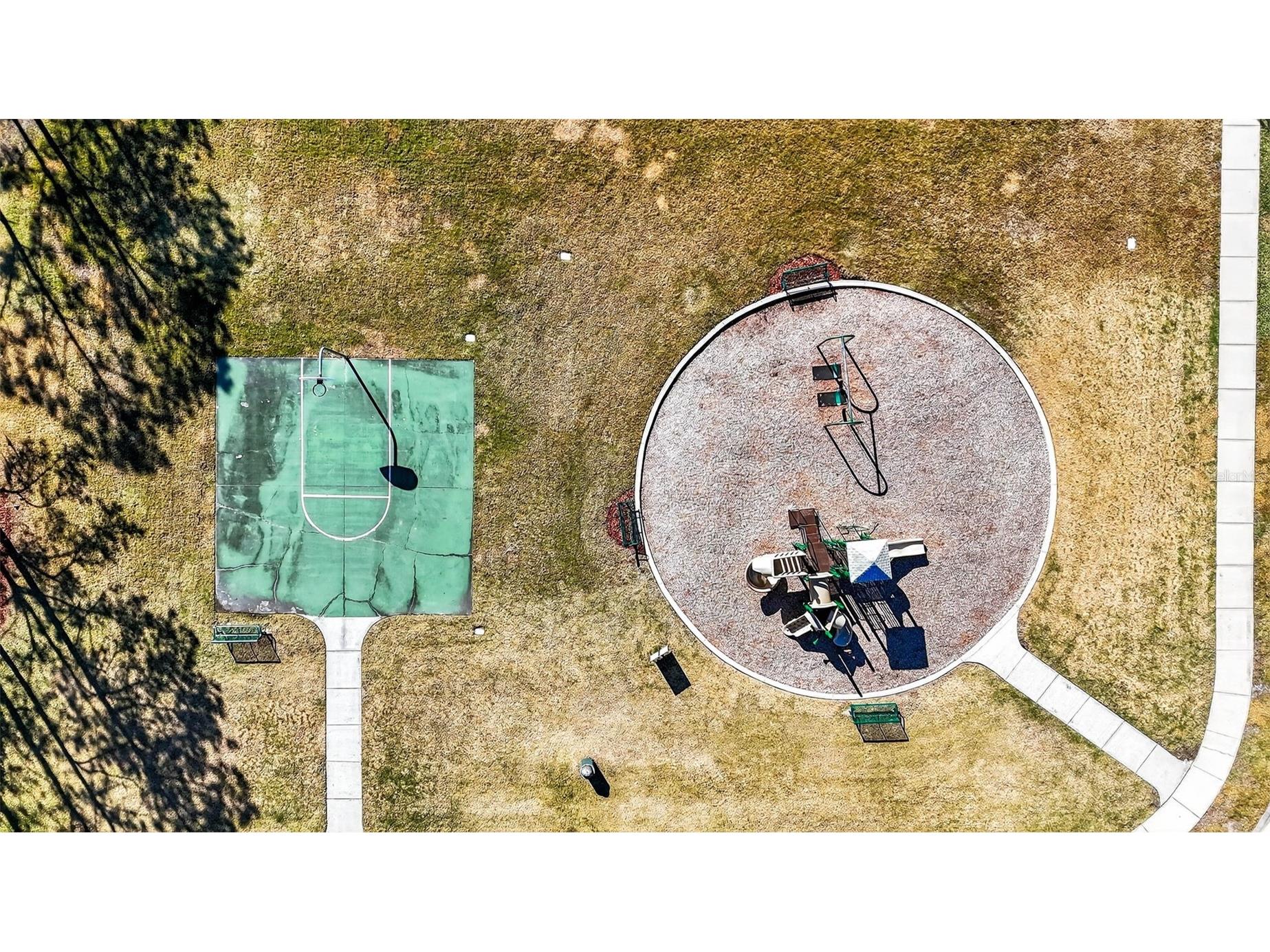 7035 Peregrina Loop Wesley Chapel FL 33545 TB8469900 image61