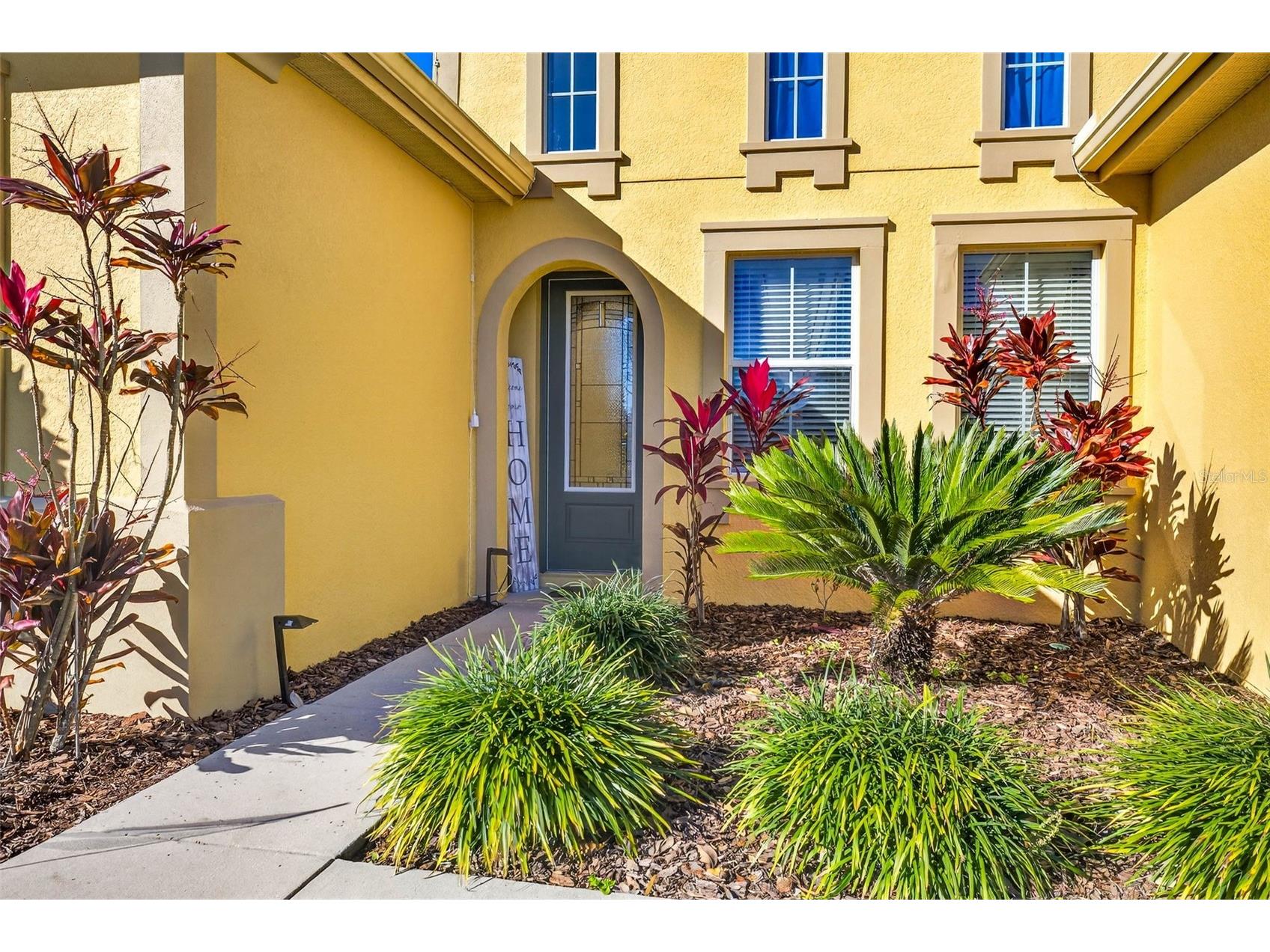 7035 Peregrina Loop Wesley Chapel FL 33545 TB8469900 image7