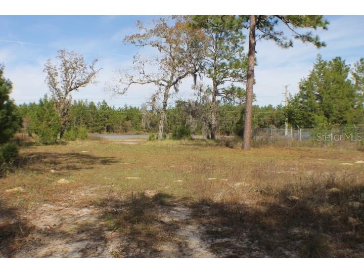7035 State Road 21 Keystone Heights FL 32656 GC517767 image1