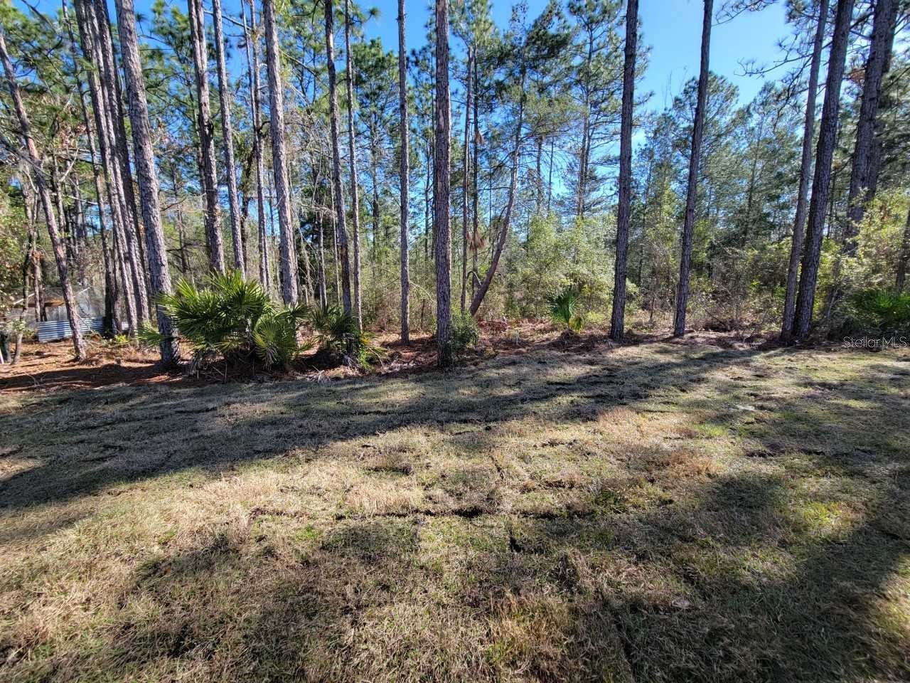 7035 SW 131st Loop Ocala FL 34473 OM709720 image25