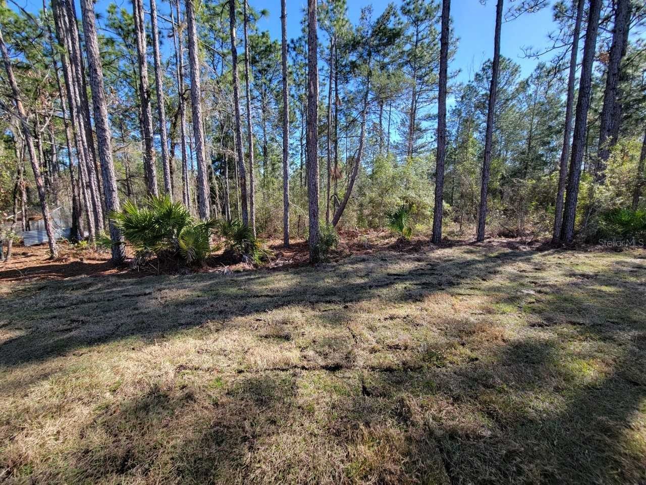 7035 SW 131st Loop Ocala FL 34473 OM709720 image26