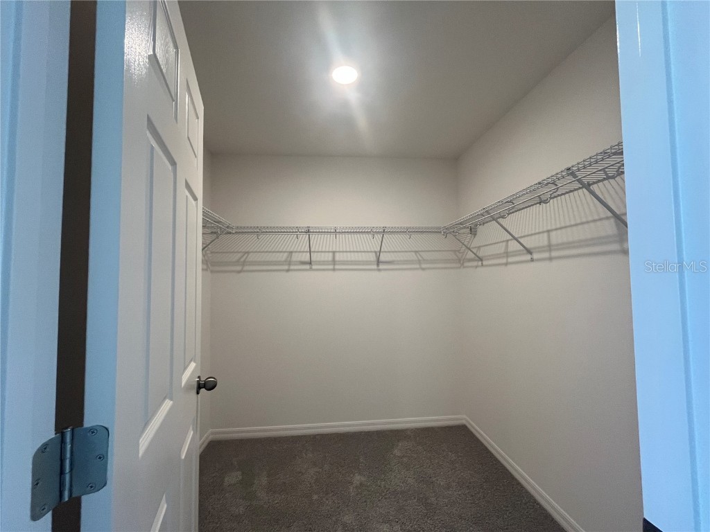 7036 Rolling Leaf Road Groveland FL 34736 O6329305 image12