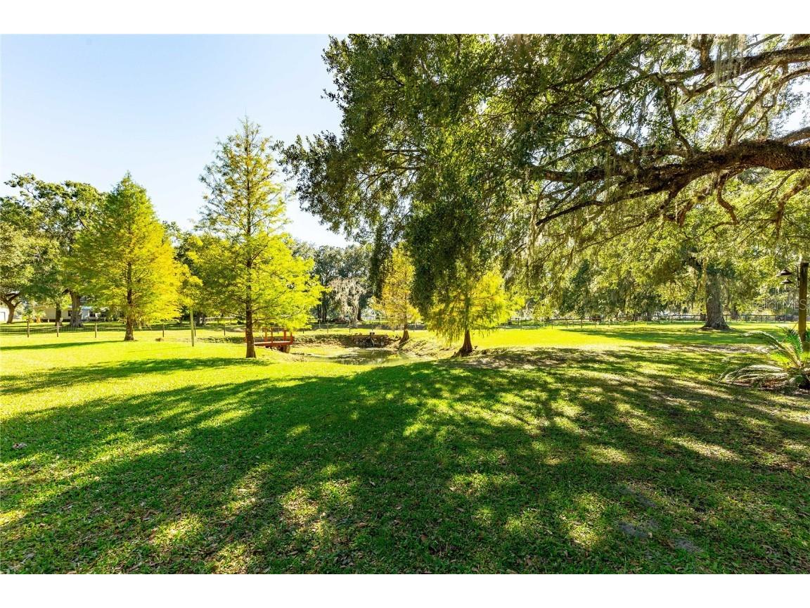 7037 Cr 625 Bushnell FL 33513 G5104181 image4