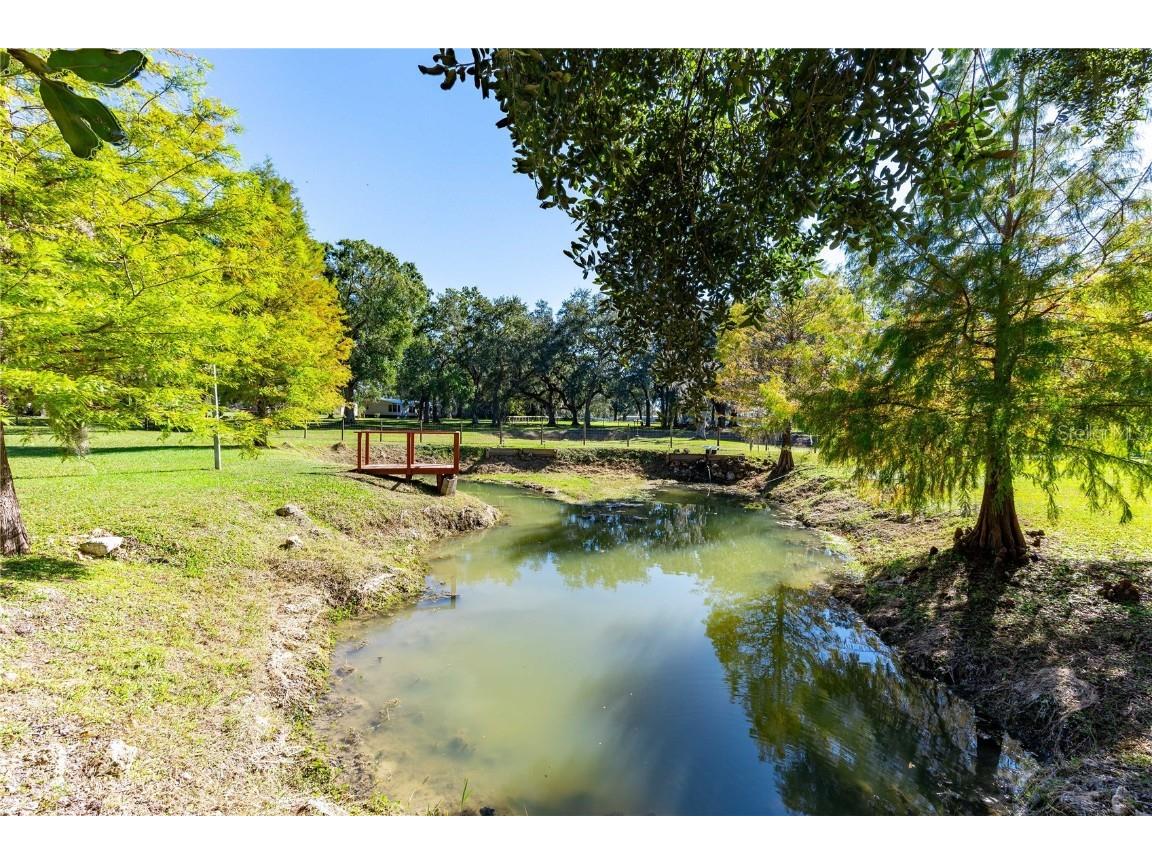 7037 Cr 625 Bushnell FL 33513 G5104181 image40