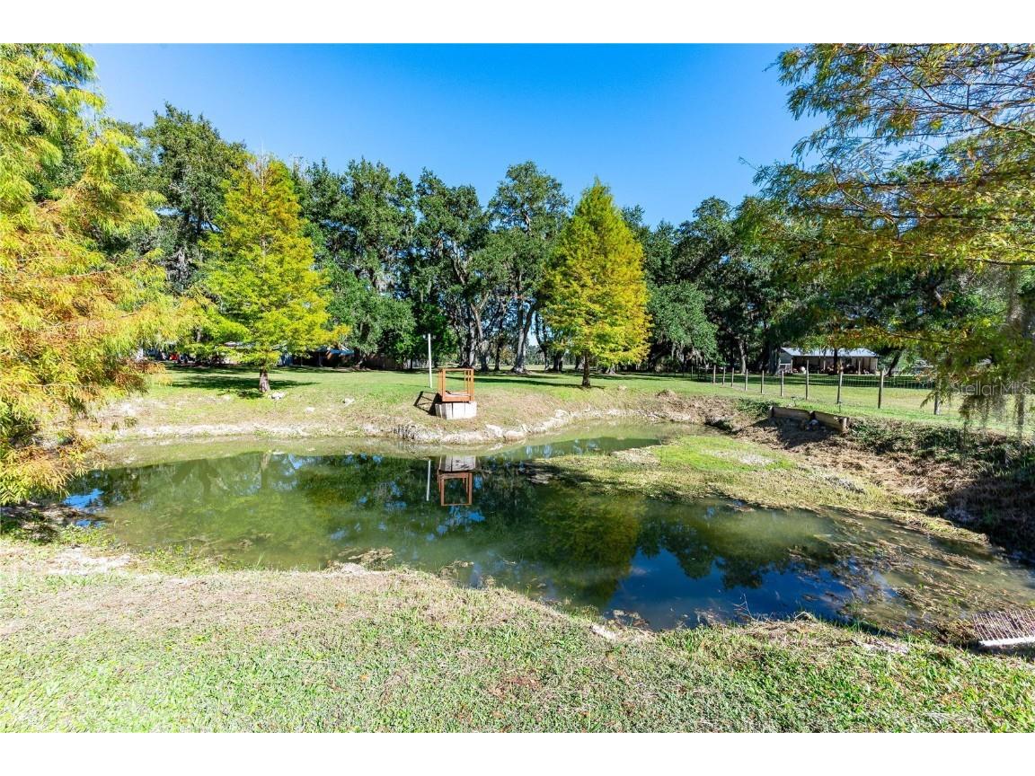 7037 Cr 625 Bushnell FL 33513 G5104181 image41