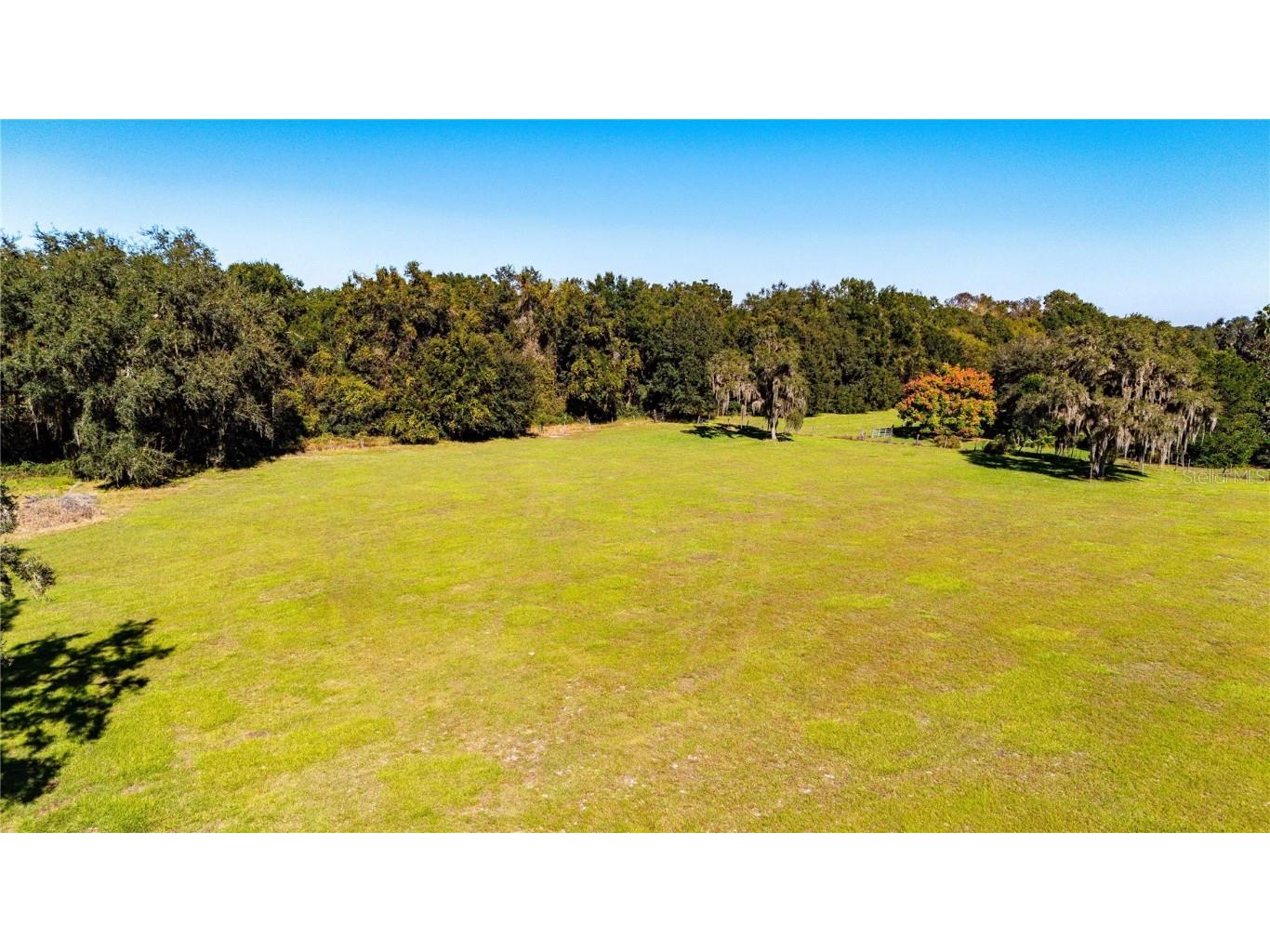 7037 Cr 625 Bushnell FL 33513 G5104181 image63