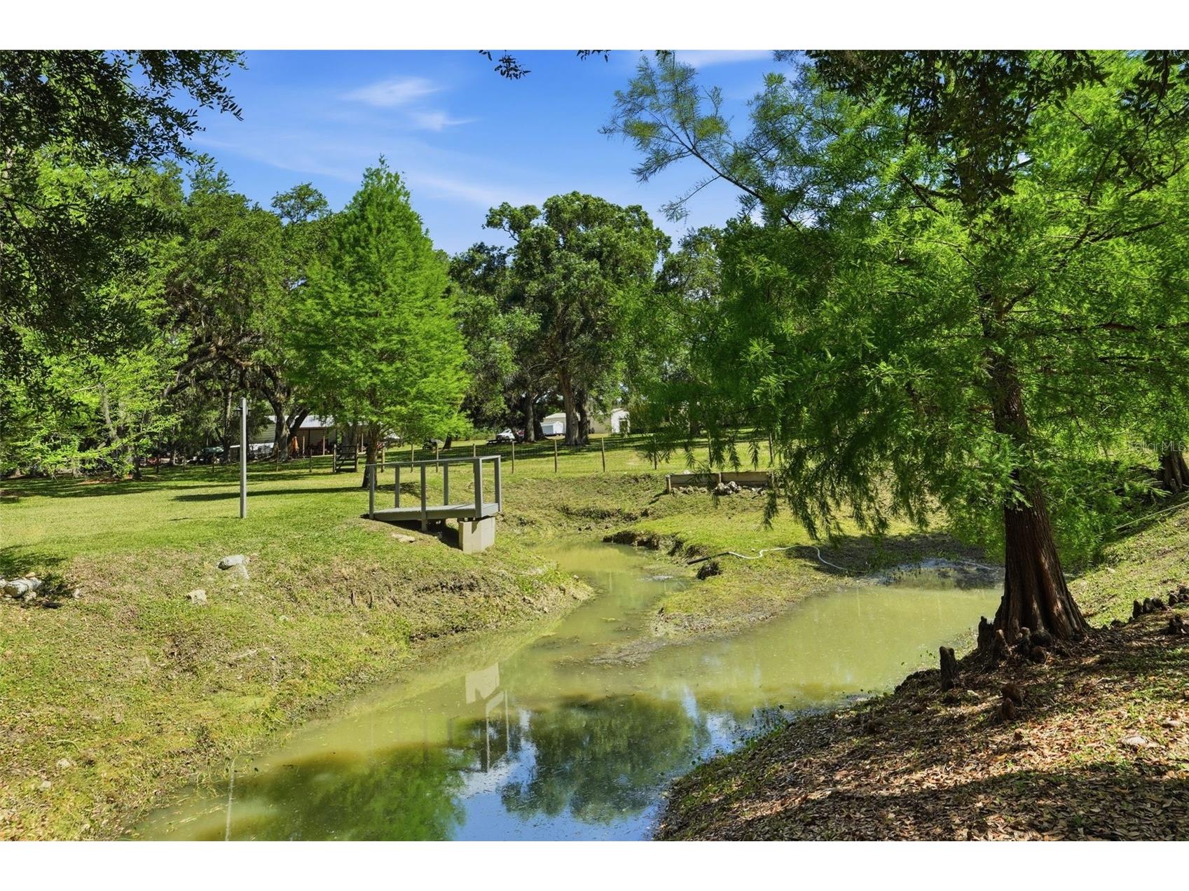 7037 Cr 625 Bushnell FL 33513 W7885046 image4