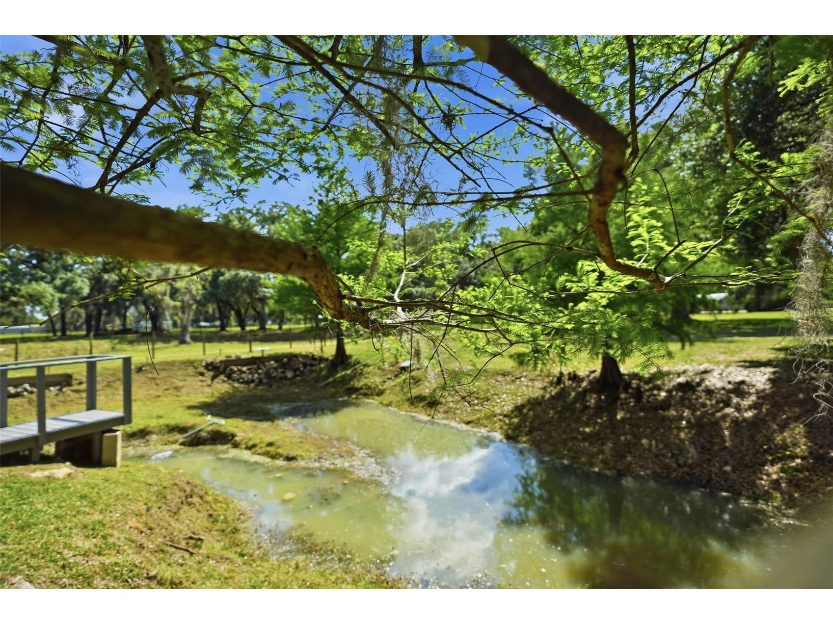 7037 Cr 625 Bushnell FL 33513 W7885046 image82