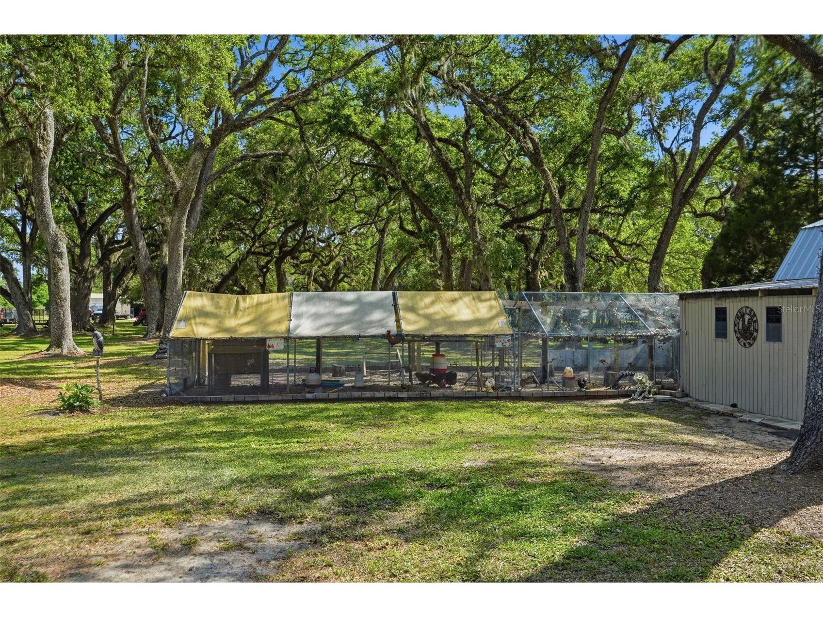 7037 Cr 625 Bushnell FL 33513 W7885046 image88