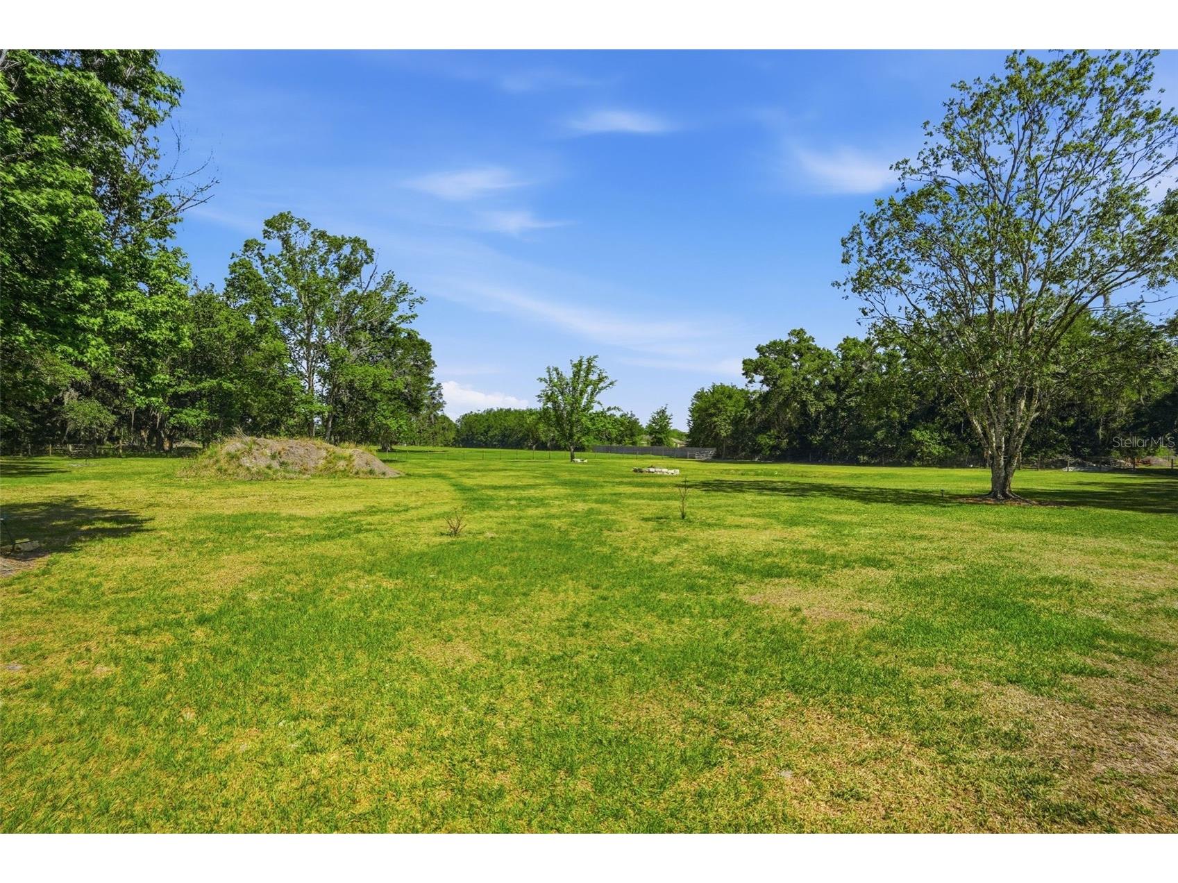 7037 Cr 625 Bushnell FL 33513 W7885046 image92