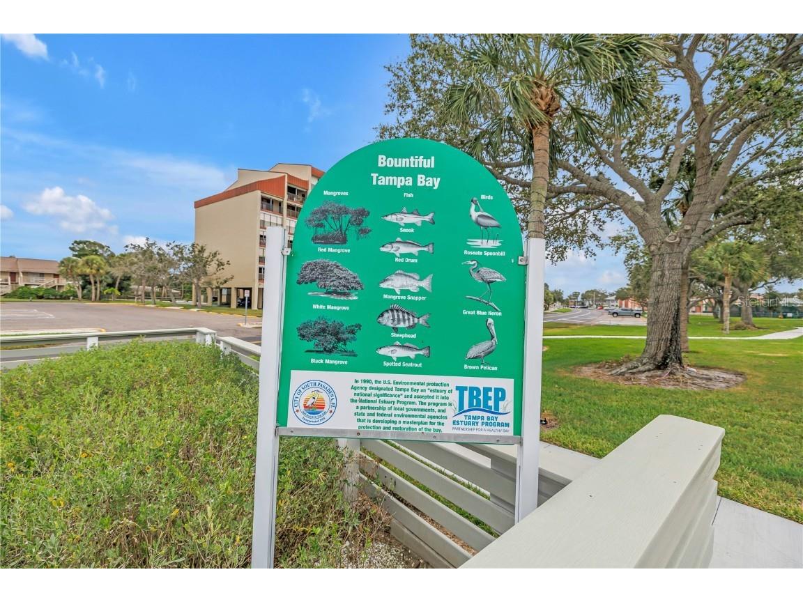 7037 Sunset Drive S #601 South Pasadena FL 33707 TB8437722 image53