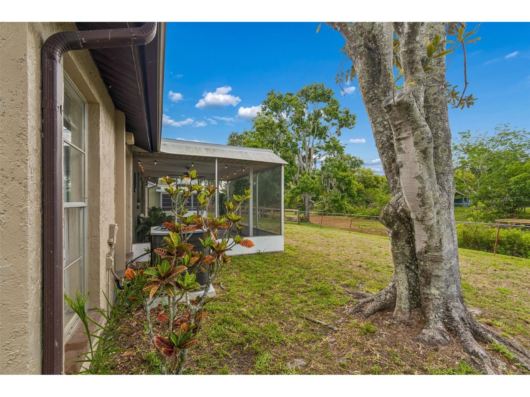 7038 Jenner Avenue New Port Richey FL 34655 TB8498382 image48