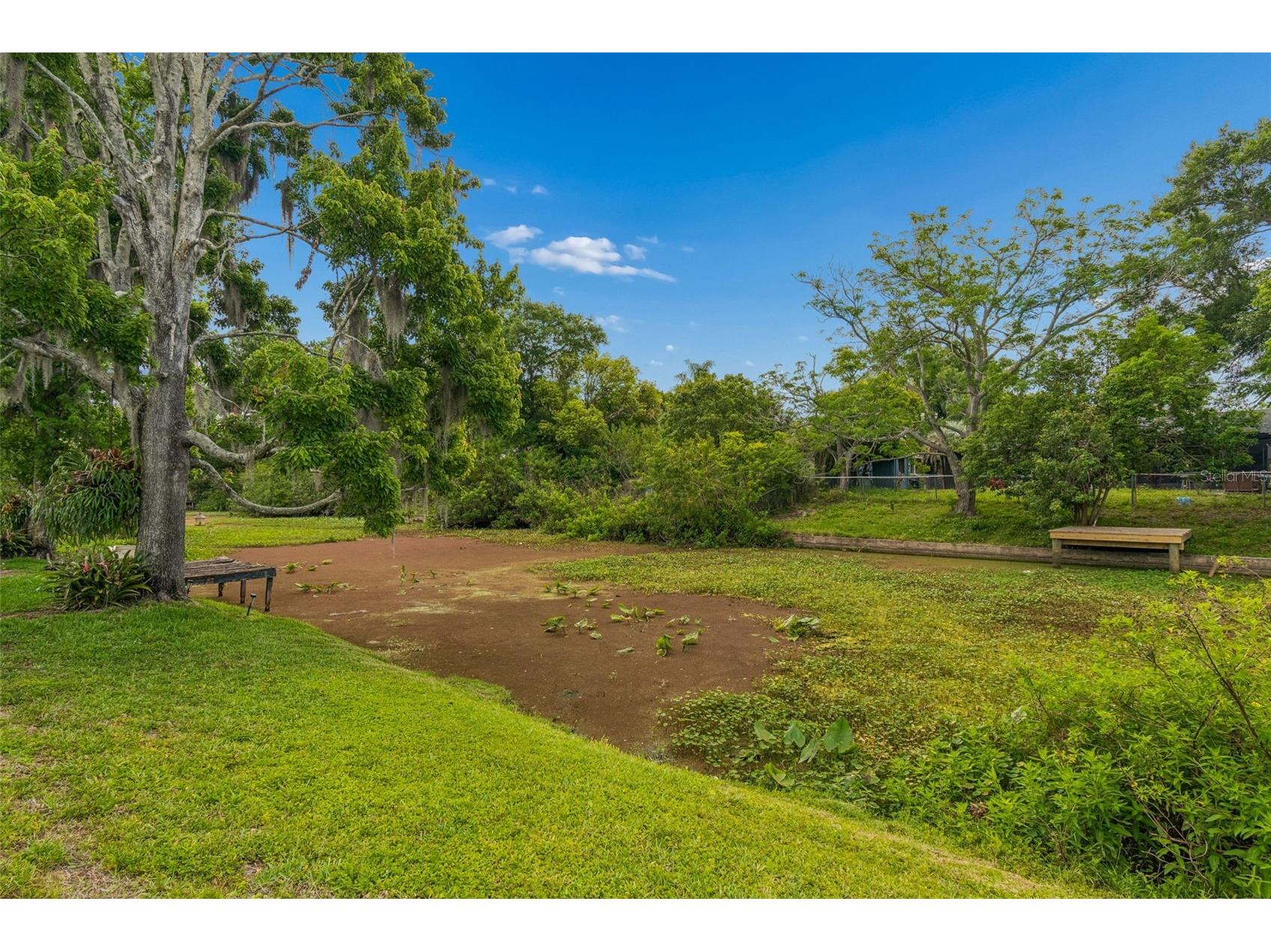 7038 Jenner Avenue New Port Richey FL 34655 TB8498382 image49