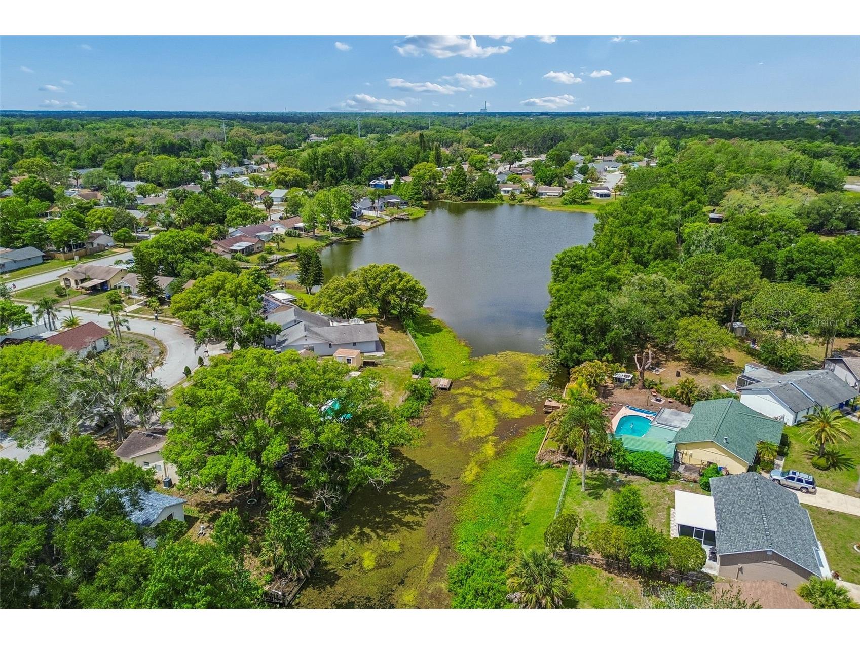 7038 Jenner Avenue New Port Richey FL 34655 TB8498382 image53
