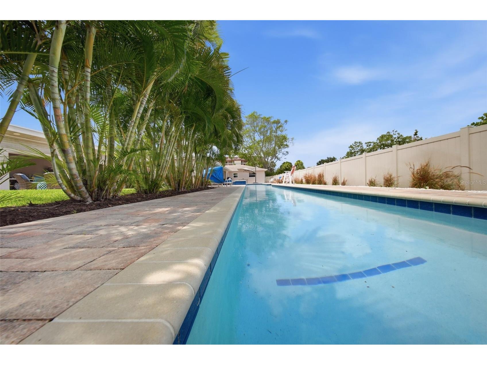 7039 Hibiscus Avenue S South Pasadena FL 33707 TB8520582 image41
