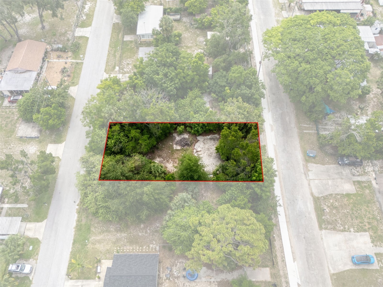 7039 Johnson Road Port Richey FL 34668 W7886294 image6