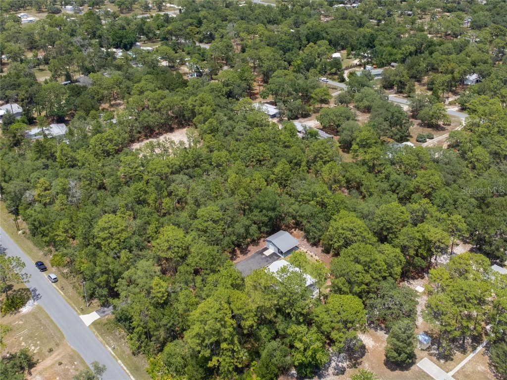 7039 S Straight Avenue Homosassa FL 34446 TB8393818 image20