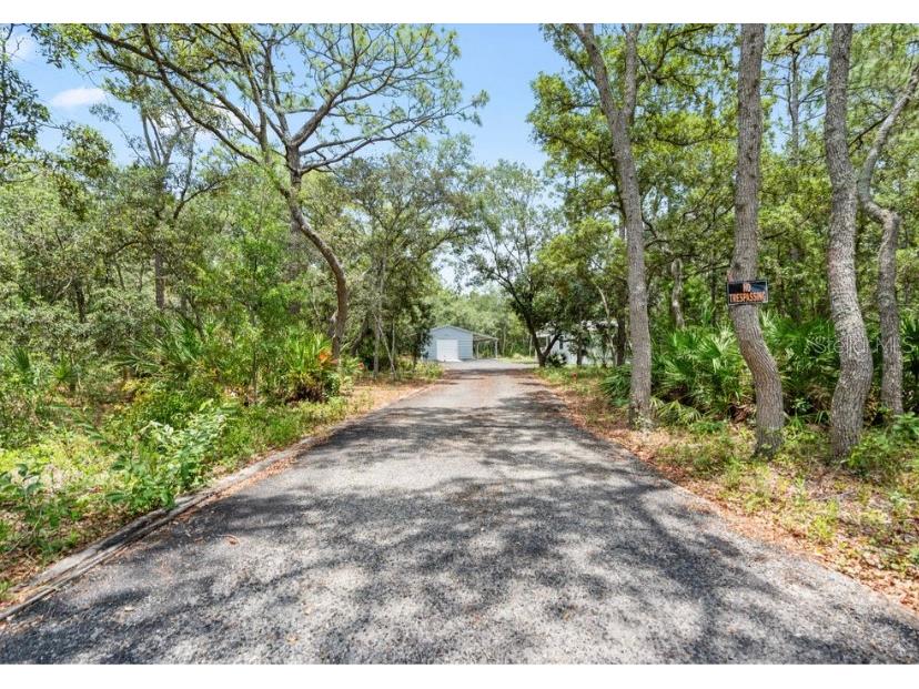 7039 S Straight Avenue Homosassa FL 34446 TB8393818 image22