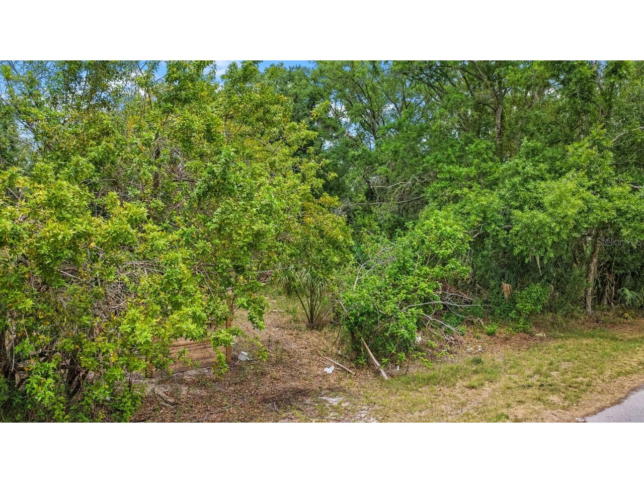 704 1st Avenue NE Ruskin FL 33570 TB8499875 image4