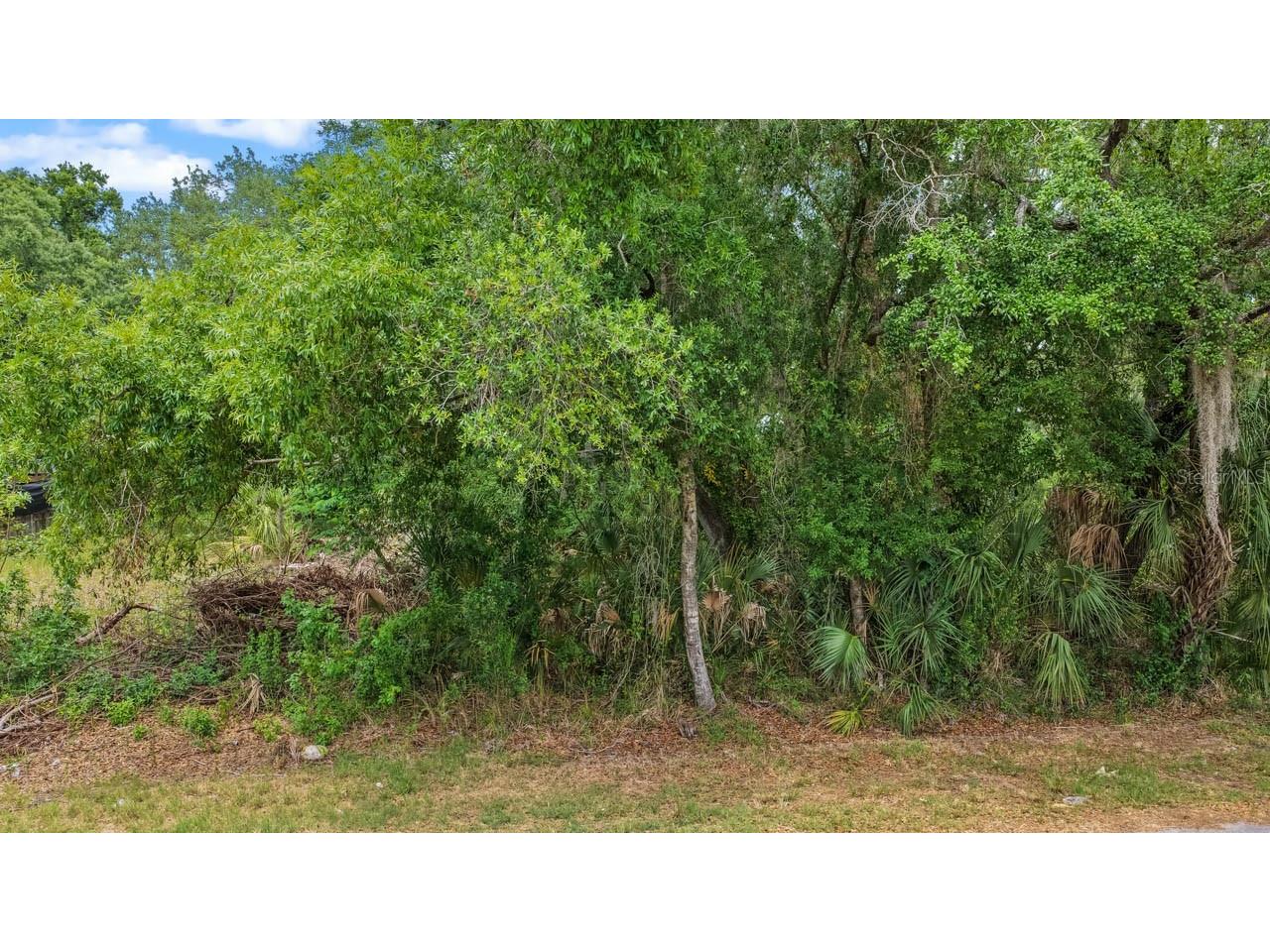 704 1st Avenue NE Ruskin FL 33570 TB8499875 image5