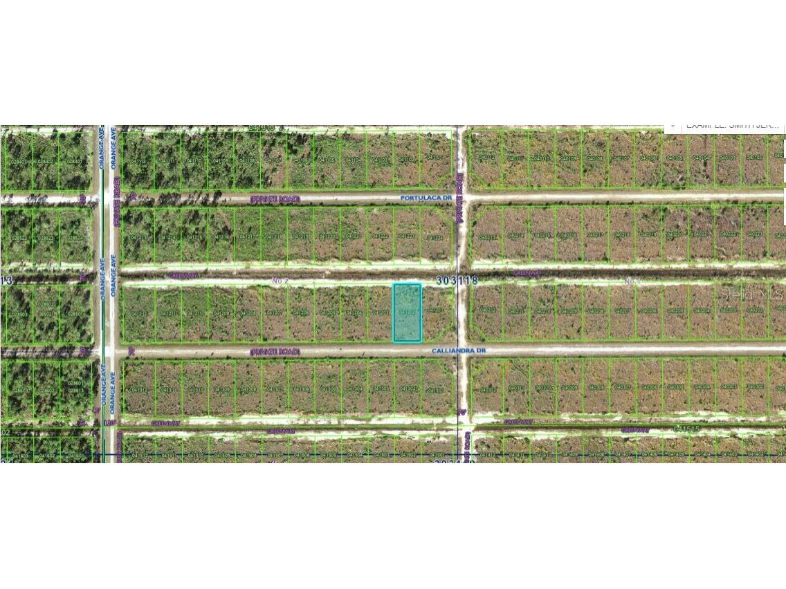 704 Calliandra Drive Indian Lake Estates FL 33855 O6298089 image1