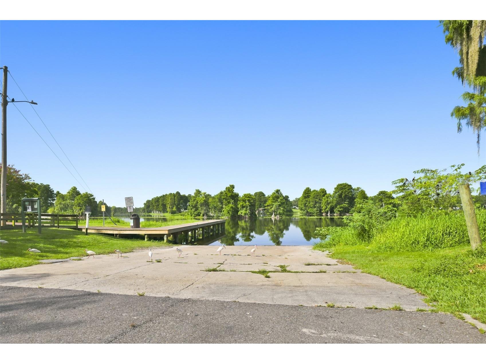 704 E River Drive Tampa FL 33617 TB8528284 image45