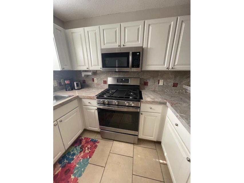 704 Ellsworth Way The Villages FL 32162 OM715664 image4