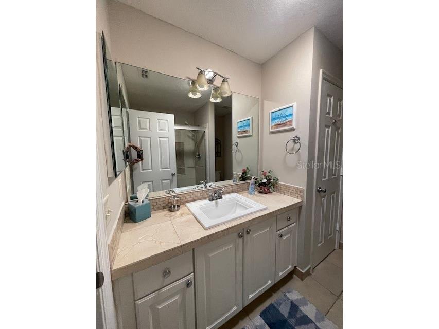 704 Ellsworth Way The Villages FL 32162 OM715664 image9