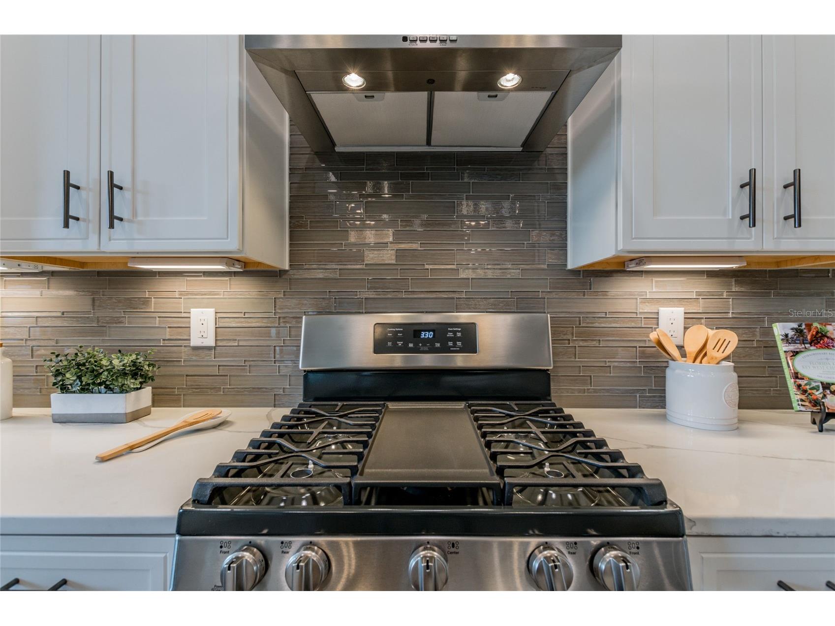 704 Estates Boulevard Tarpon Springs FL 34688 TB8478840 image23