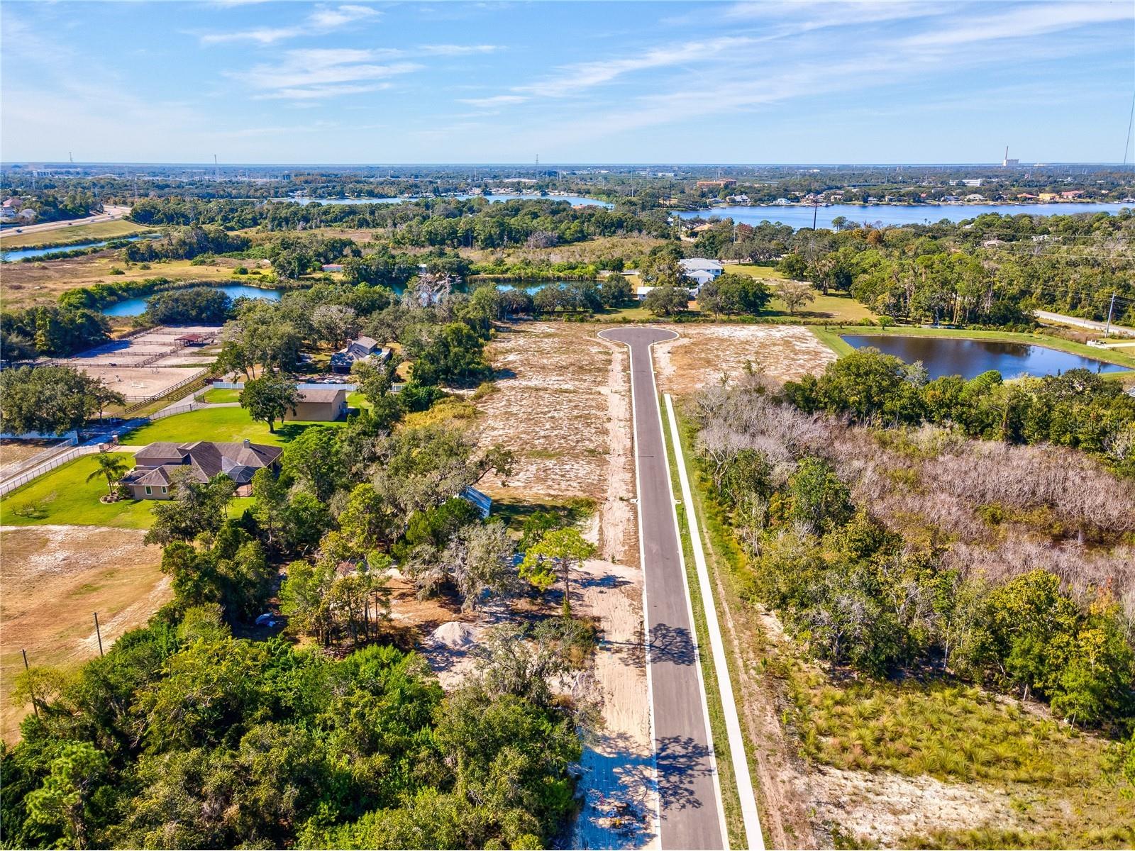 704 Estates Boulevard Tarpon Springs FL 34688 TB8478840 image50