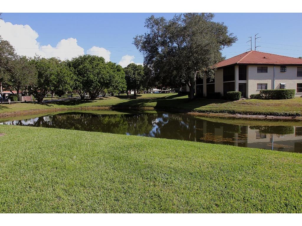 704 Hammock Pine Boulevard #704 Clearwater FL 33761 TB8487177 image34